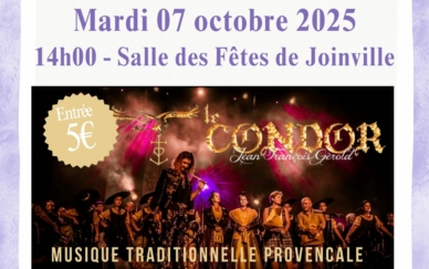 AFFICHE CONDOR JPG