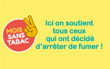 Vignette site internet